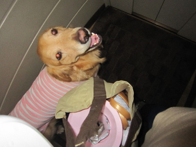 ファイル 1728-1.jpg