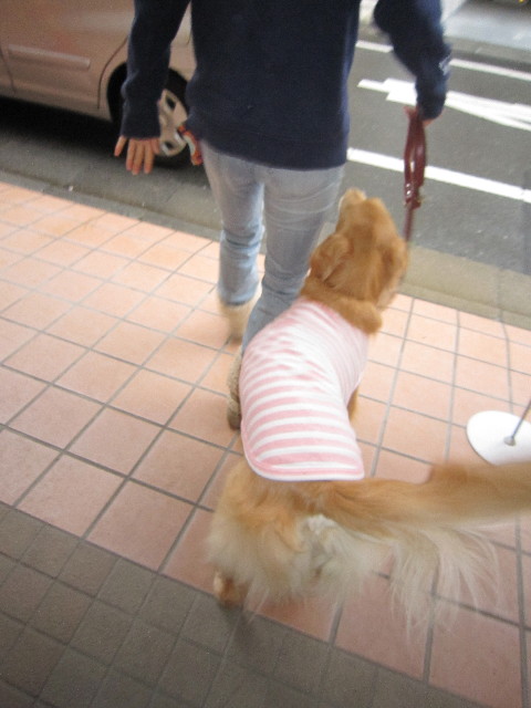 ファイル 1728-2.jpg