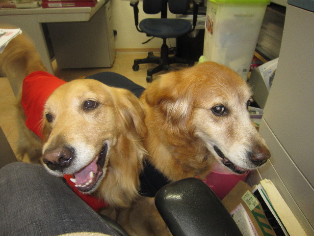 ファイル 1728-3.jpg