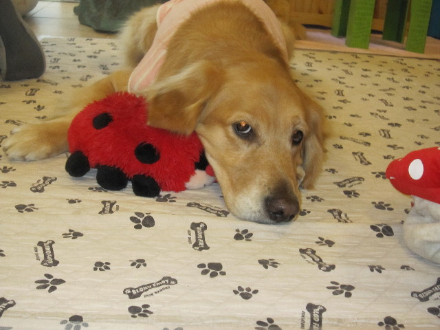 ファイル 1728-4.jpg