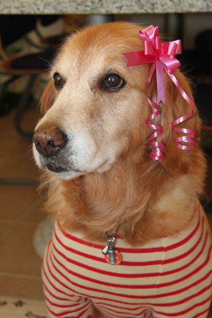 ファイル 1728-5.jpg