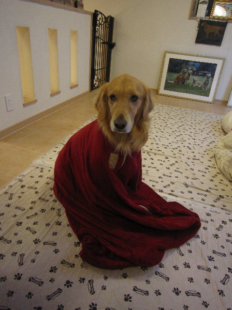 ファイル 1729-5.jpg