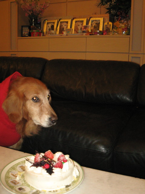 ファイル 173-3.jpg