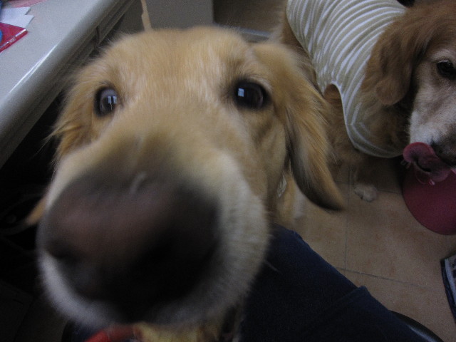 ファイル 1730-5.jpg