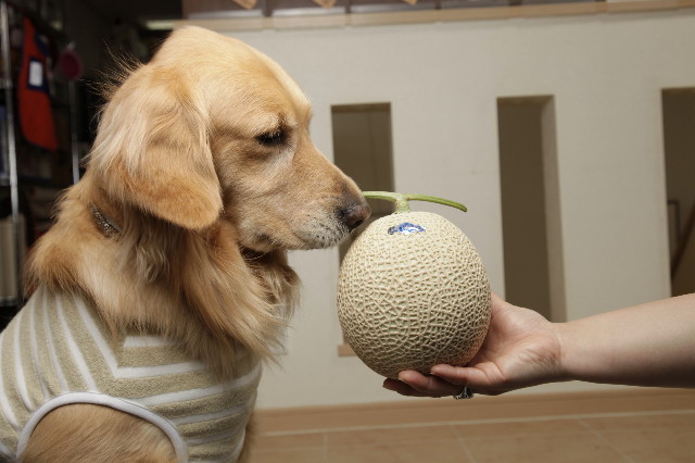 ファイル 1731-3.jpg