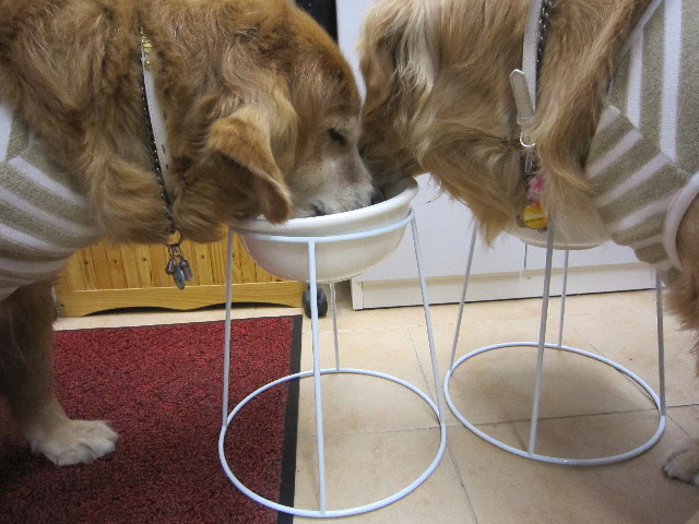 ファイル 1732-2.jpg