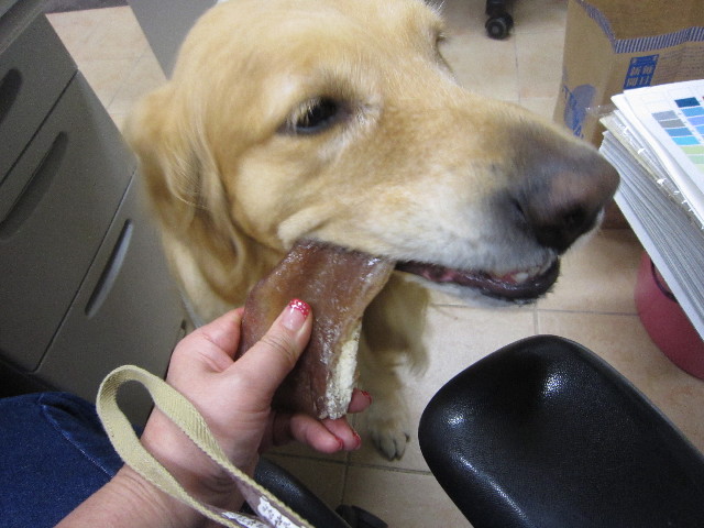 ファイル 1732-5.jpg