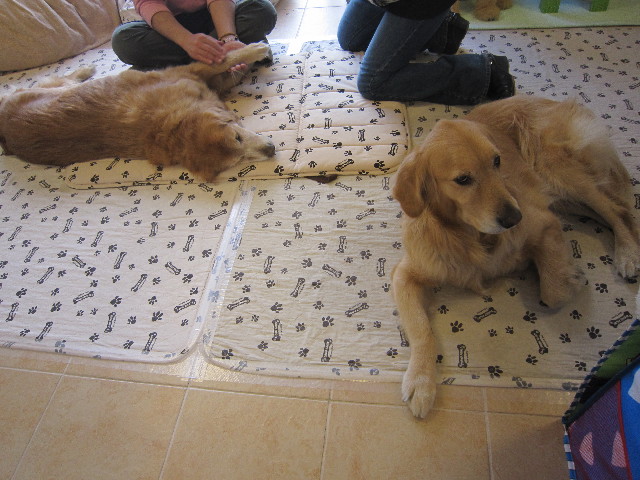 ファイル 1733-3.jpg