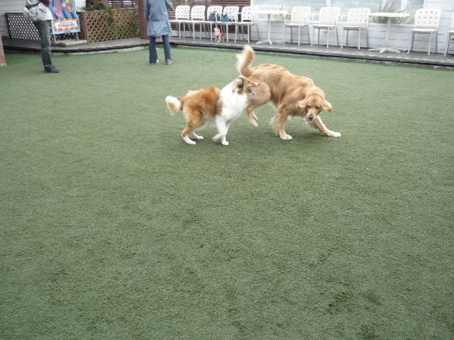 ファイル 1738-1.jpg