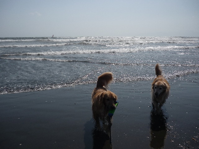 ファイル 1738-3.jpg