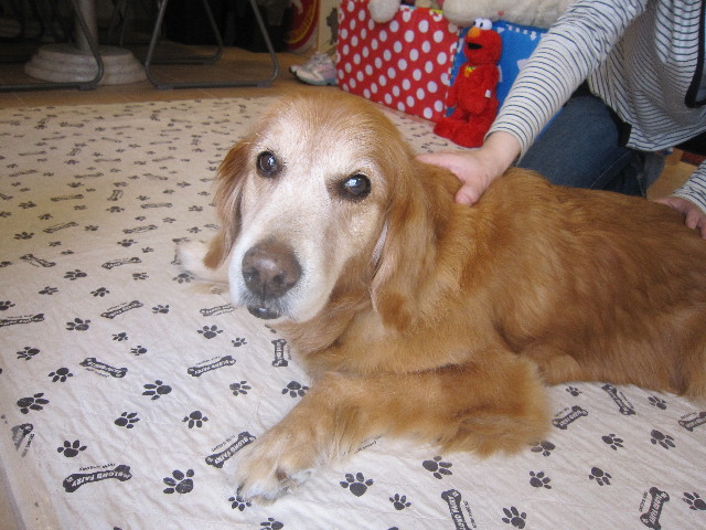 ファイル 1739-1.jpg