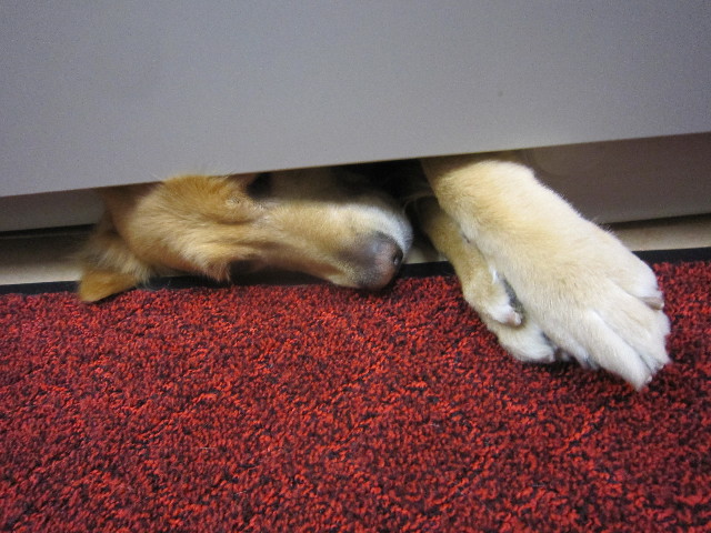 ファイル 1739-2.jpg