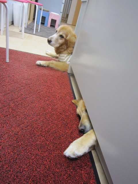 ファイル 1739-3.jpg