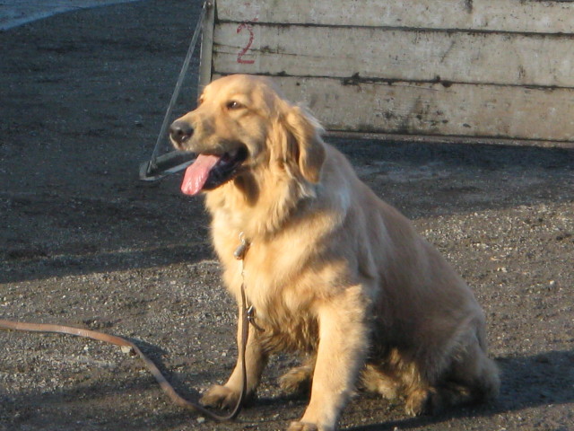 ファイル 174-2.jpg