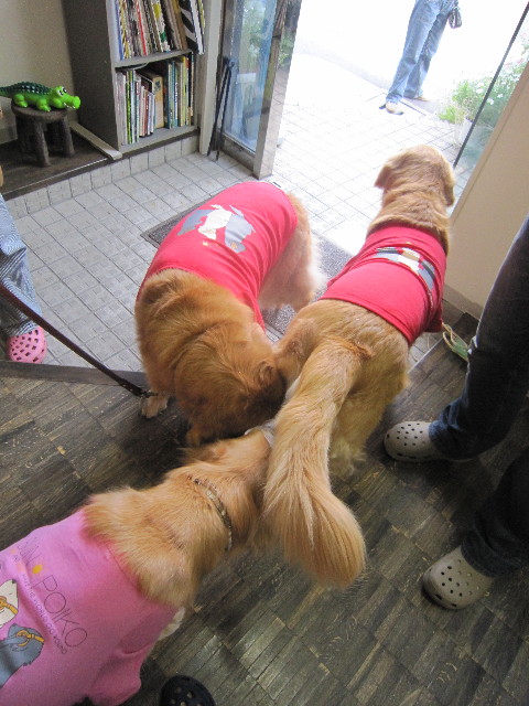 ファイル 1742-2.jpg