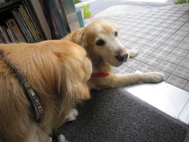 ファイル 1742-3.jpg