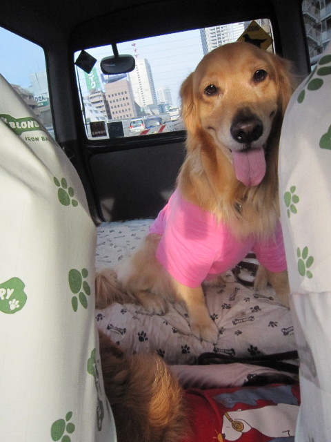 ファイル 1743-2.jpg