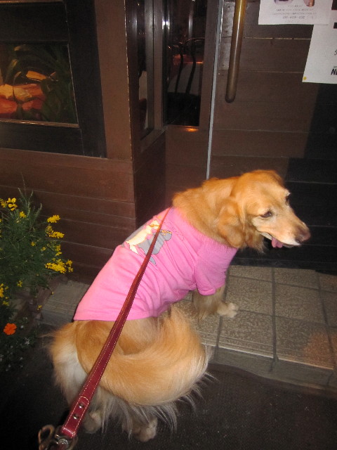 ファイル 1743-3.jpg