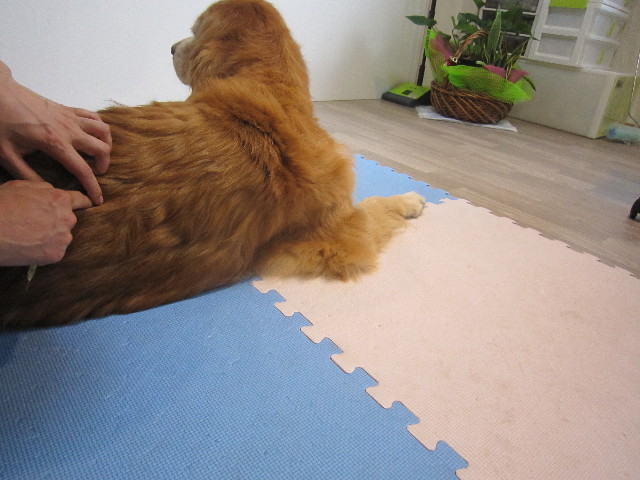 ファイル 1744-3.jpg