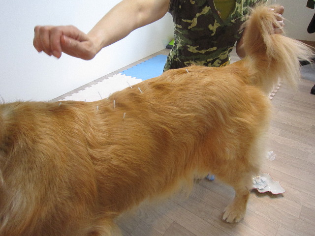 ファイル 1744-4.jpg