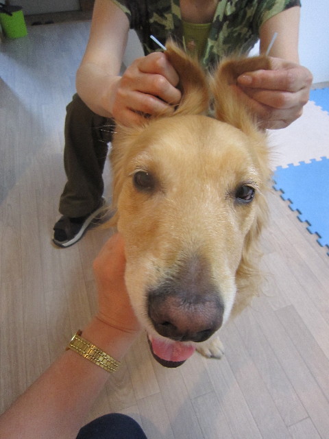 ファイル 1744-5.jpg