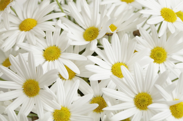 ファイル 1745-3.jpg