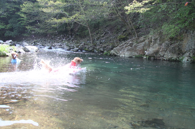 ファイル 1746-2.jpg