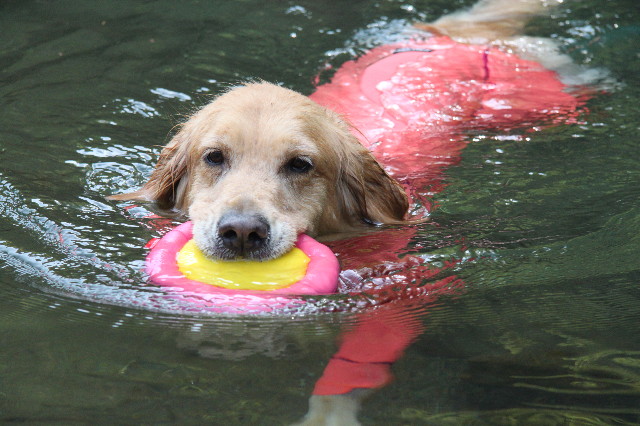 ファイル 1746-3.jpg