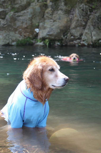 ファイル 1746-4.jpg