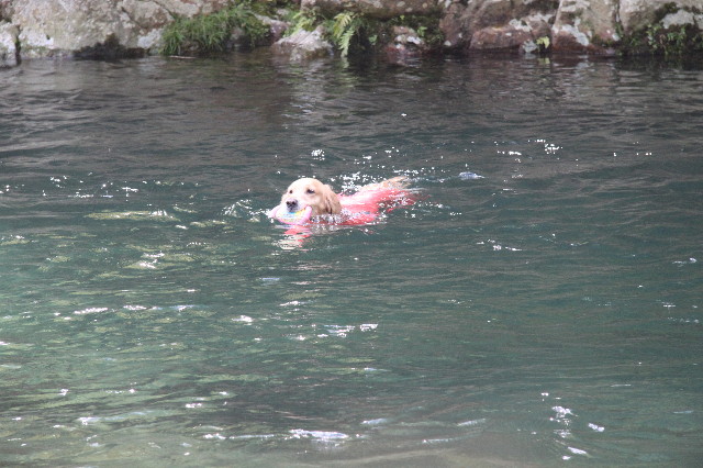 ファイル 1747-1.jpg