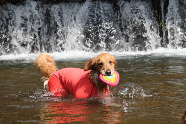 ファイル 1747-2.jpg