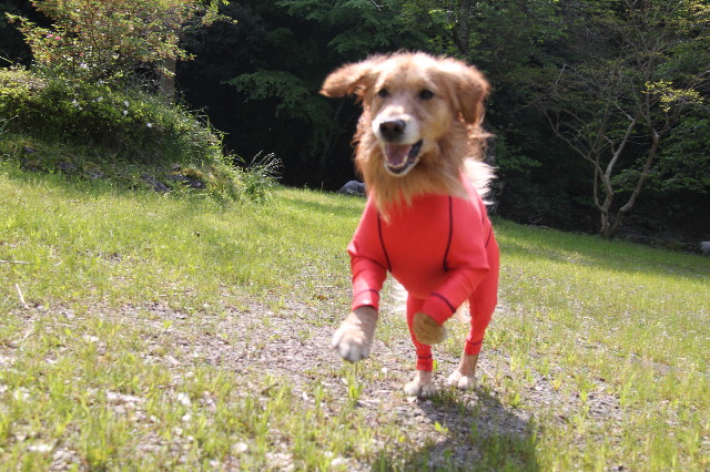 ファイル 1747-3.jpg