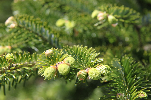 ファイル 1749-3.jpg