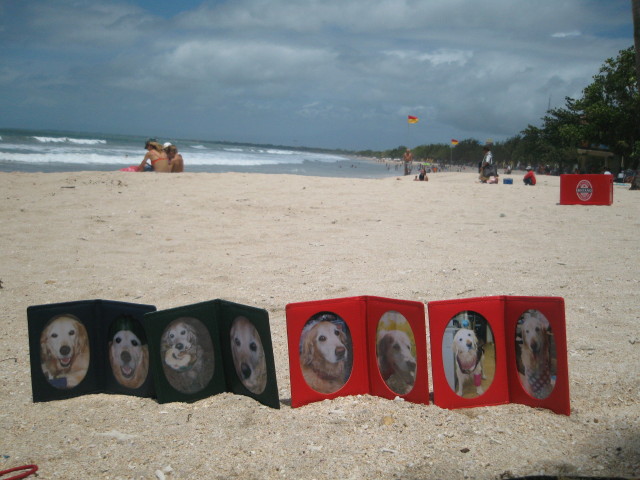 ファイル 175-5.jpg