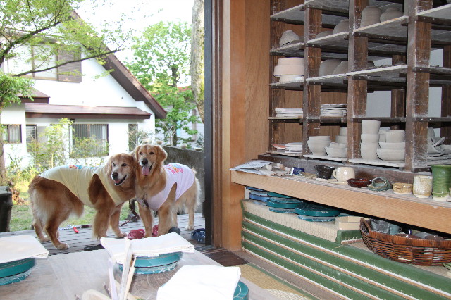 ファイル 1750-5.jpg