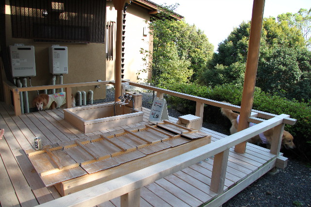 ファイル 1752-1.jpg