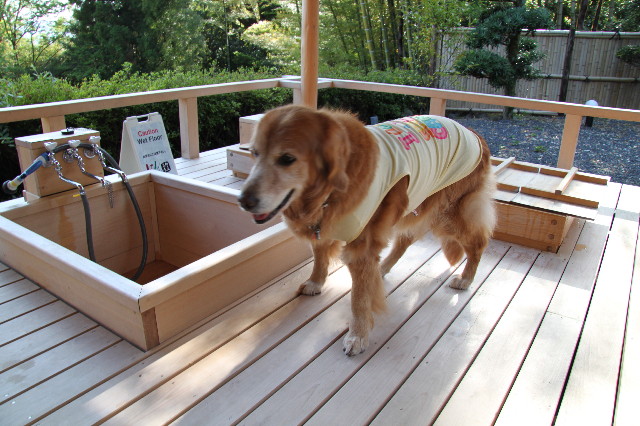 ファイル 1752-2.jpg