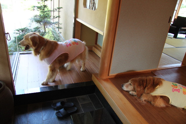 ファイル 1752-5.jpg