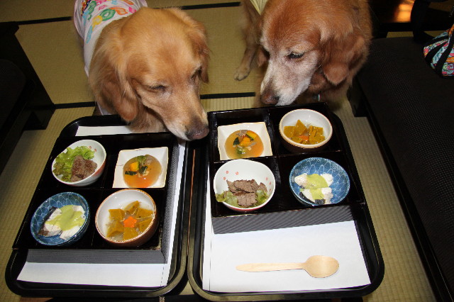 ファイル 1753-1.jpg