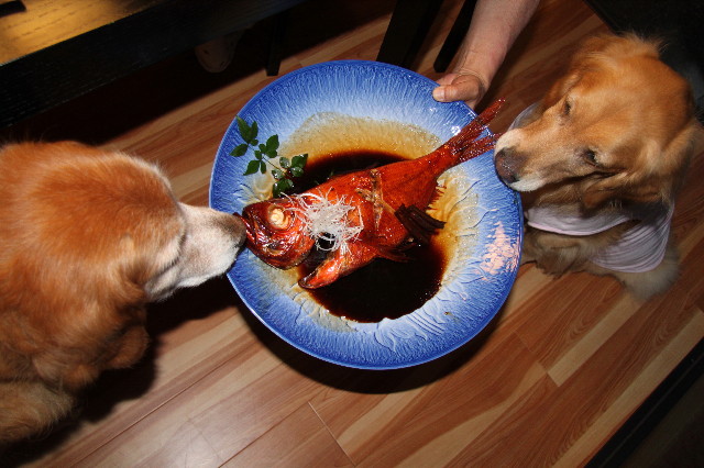 ファイル 1753-4.jpg