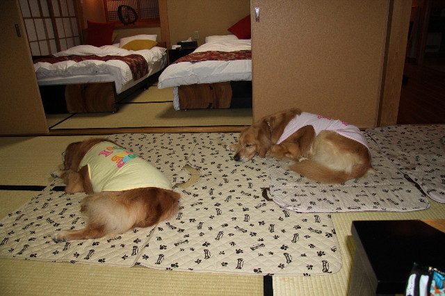 ファイル 1753-5.jpg