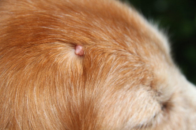 ファイル 1756-4.jpg