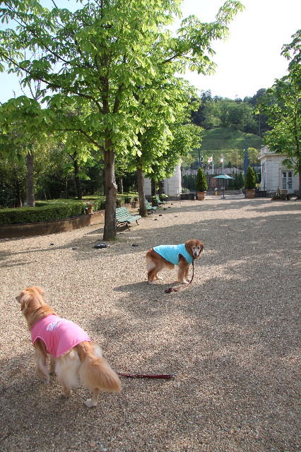 ファイル 1757-1.jpg