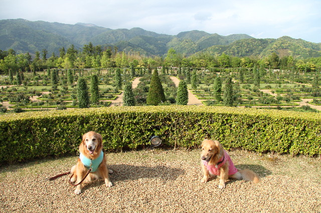 ファイル 1757-4.jpg