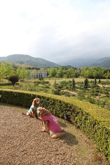 ファイル 1757-5.jpg