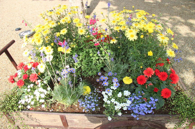 ファイル 1760-1.jpg