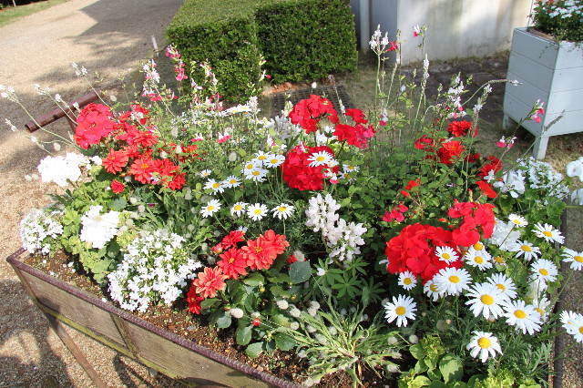 ファイル 1760-2.jpg