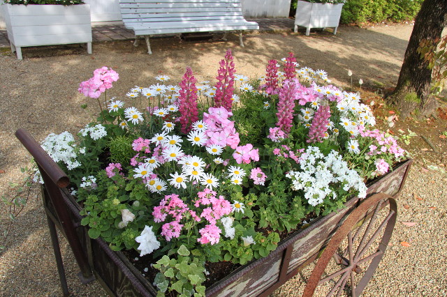 ファイル 1760-3.jpg