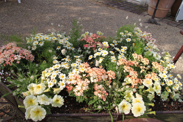 ファイル 1760-4.jpg