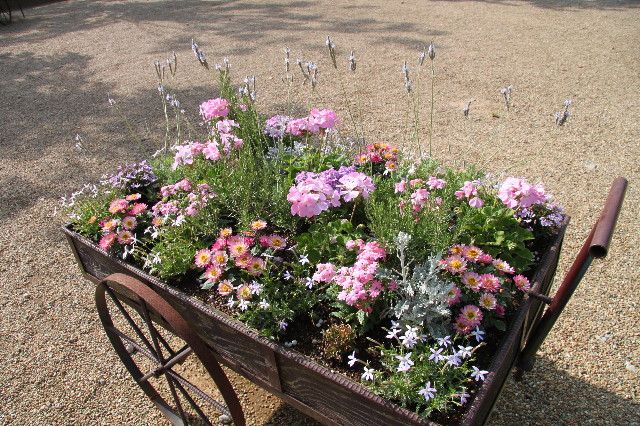 ファイル 1760-5.jpg